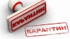 Пенсионеры могут не платить кредиты во время карантина